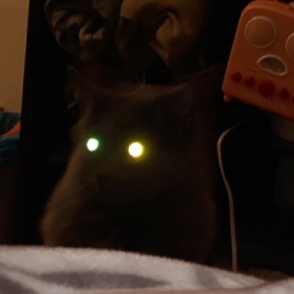 Meet your Posher, Erika - Picture 1 of 1